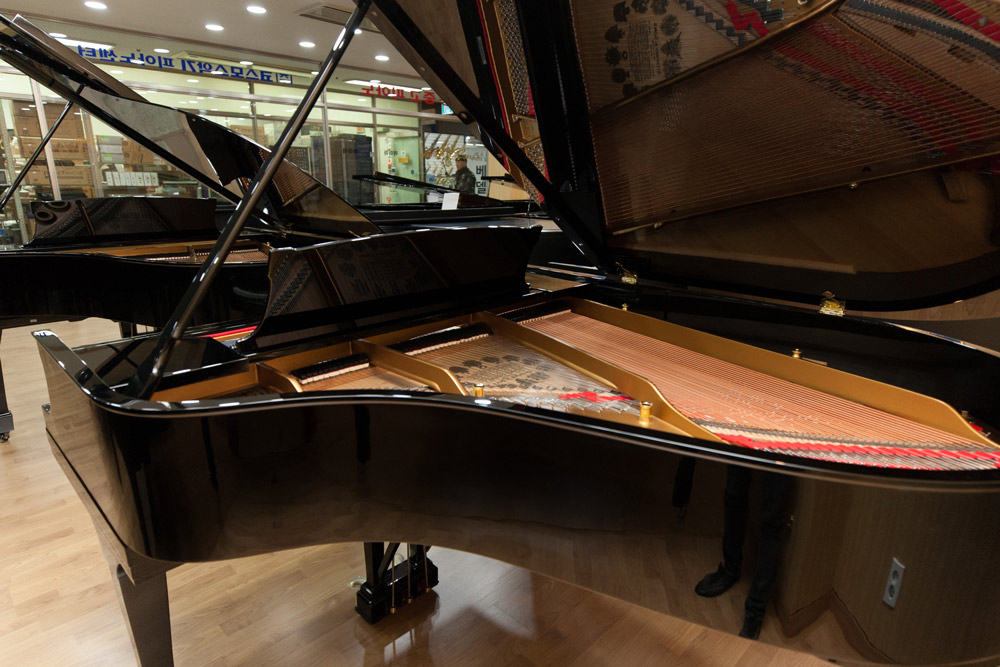 LHJ_6457.jpg